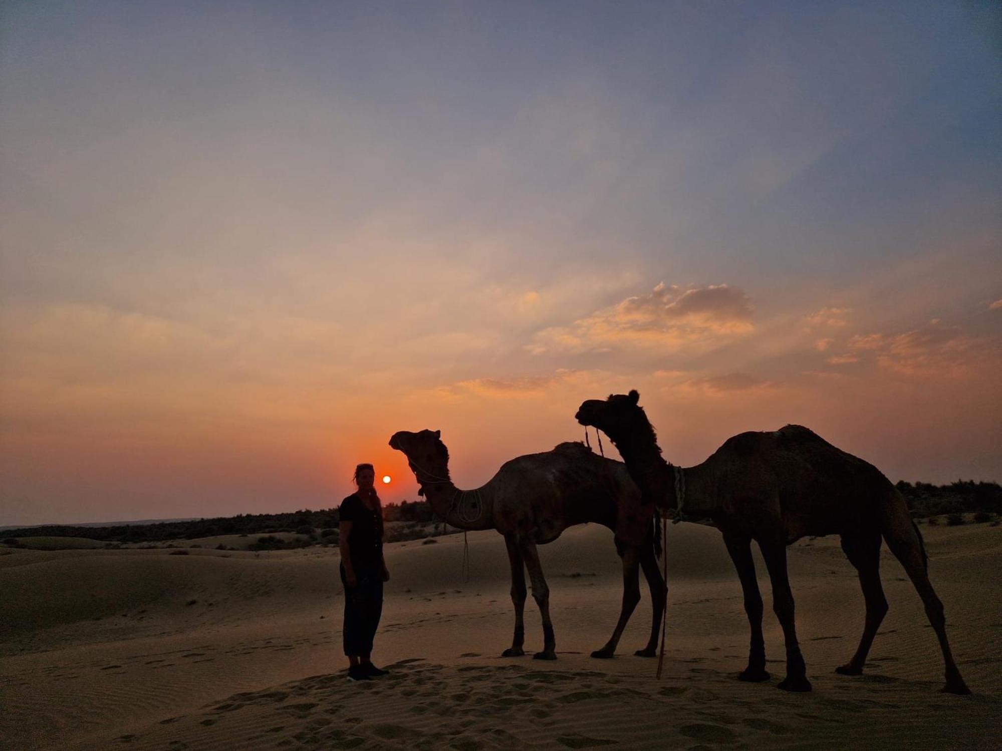 Desert Vista Camp Jaisalmer Eksteriør billede