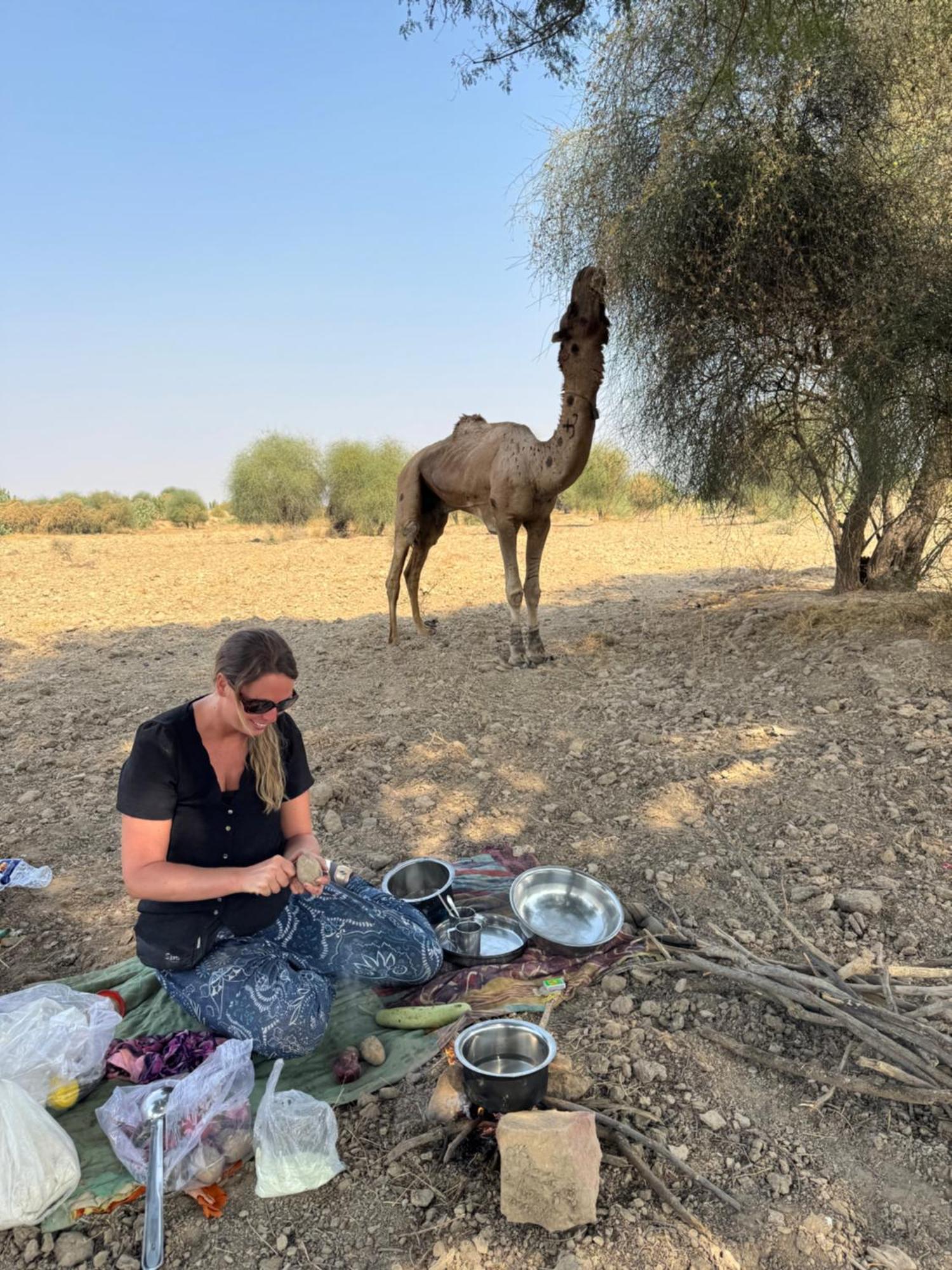 Desert Vista Camp Jaisalmer Eksteriør billede